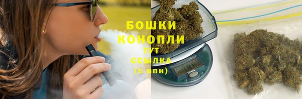 apvp Горняк