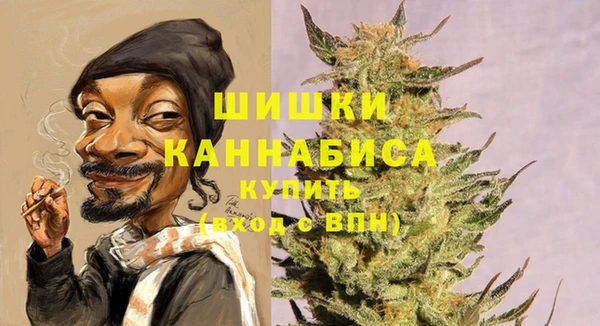 дурь Вяземский