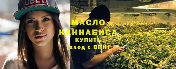 apvp Горняк
