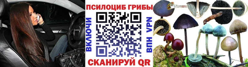 Галлюциногенные грибы мицелий  mega ССЫЛКА  darknet официальный сайт  Дубна 